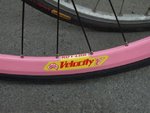 surly03.jpg