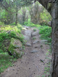 IMG_2549.jpg