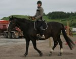 IMG_5110_klippt.JPG