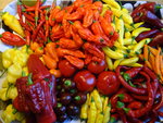 DSC03040.JPG