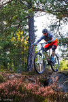 DSC03391_small.jpg