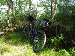 DSC00805.JPG