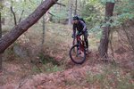 DSC_4701.jpg