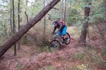 DSC_4652.jpg