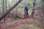 DSC_4676.jpg