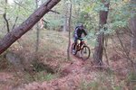 DSC_4700.jpg