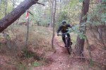 DSC_4641.jpg