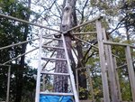 DSC_0667.JPG