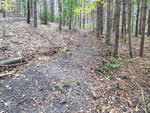 20161008_155129.jpg