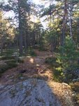 IMG_9156.JPG