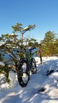 20161112_132318.jpg