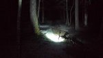 IMG_20161129_182452.jpg