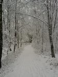 IMG_20161211_132412.jpg