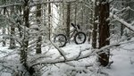 WP_20161211_11_15_25_Pro.jpg