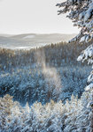 19 winter 70x100.jpg