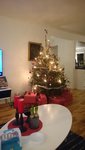 DSC_5296.JPG