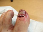 IMG_20161113_172057.jpg