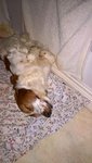 WP_20161201_04_40_25_Rich.jpg