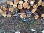 IMG_20161224_090746.jpg