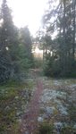 2016-12-25 11.39.29.jpg