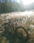 IMG_20161012_122937.jpg