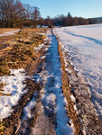 20170115-1527-R0012411.jpg