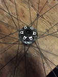 IMG_20170201_170128.jpg
