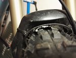 IMG_20170202_170541.jpg