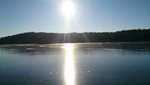 DSC_0220.JPG