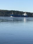 IMG_6173.JPG