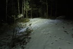 IMG_6128.JPG