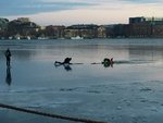 IMG_4165.JPG