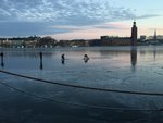 IMG_4168.JPG