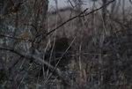 DSC_0031.JPG