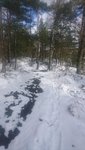 170308_1154.JPG