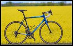 c59.jpg