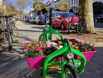 IMG_20170324_155945.jpg