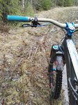 IMG_20170331_145537.jpg