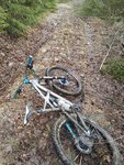 IMG_20170331_155508.jpg