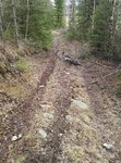 IMG_20170331_155436.jpg