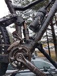 20170401_123016[1].jpg