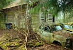 DSC05928a (800x554).jpg