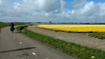 IMG_20170413_105424243.jpg