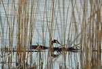 DSC_7538.JPG