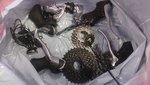 shimano_8_speed.JPG