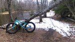 IMAG0496.jpg