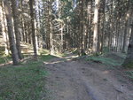 DSC04340.JPG