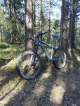 IMG_20170502_133704.jpg
