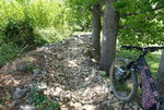 LRG_DSC00286.JPG