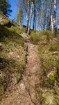 DSC_2152.JPG